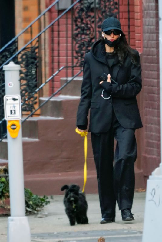 IRINA SHAYK Out for a Dog Walk in New York 12/19/2023