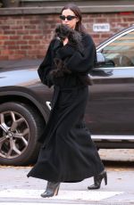 IRINA SHAYK Out with Her Dog in New York 12/05/2023