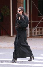 IRINA SHAYK Out with Her Dog in New York 12/05/2023