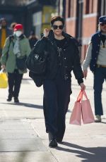 JAIMIE ALEXANDER Out Shopping in New York 12/21/2023