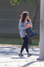 JENNA DEWAN Out at a Park in Los Angeles 12/16/2023