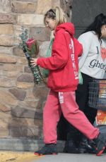 JESSICA HART Out Shopping in Los Feliz 12/29/2023
