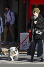 JULIA GARNER Out with Her Dog in New York 12/19/2023