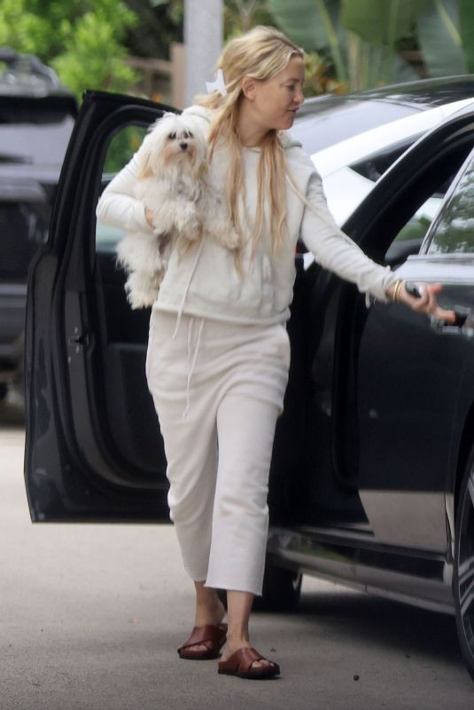 KATE HUDSON Out with Her Dog in Los Angeles 12/18/2023