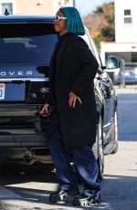 KELLY RLWLAND Debuts Blue Hair Out in Beverly Hills 12/13/2023
