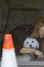 KRISTEN BELL Picks up Her Dog from Tailwaggers & Tailwashers Grooming Salon and Doggie Daycare in Los Angeles 12/13/2023