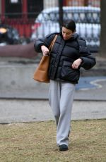 LEA MICHELE Out at a Park in New York 12/17/2023
