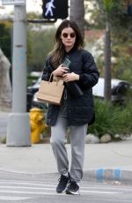 LUCY HALE Out for Last Minute Christmas Shopping in West Hollywood 12/23/2023
