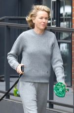 NAOMI WATSS Out with Her Dog in New York 12/26/2023