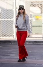 OLIVIA WILDE Out and About in Los Angeles 12/23/2023