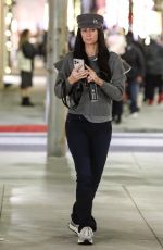 PARIS HILTON Out Shopping on Rodeo Drive 12/22/2023