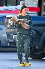RACHEL BILSON Out and About in Los Angeles 12/13/2023