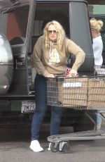 REBEL WILSON and RAMONA AGRUMA Out Shopping in Los Feliz 12/26/2023