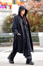ROSALIA Out at Central Park in New York 12/25/2023