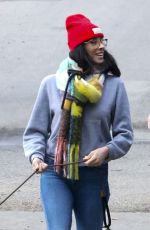 SARAH SILVERMAN and Rory Albanese Out with Their Dogs in in Los Feliz 12/30/2023