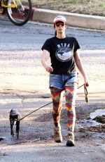 SARAH SIVLERMAN and Rory Albanese Out for a Dog Walk in Los Feliz 12/08/2023