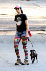SARAH SIVLERMAN and Rory Albanese Out for a Dog Walk in Los Feliz 12/08/2023