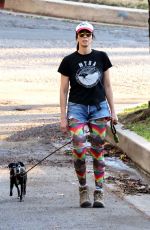 SARAH SIVLERMAN and Rory Albanese Out for a Dog Walk in Los Feliz 12/08/2023