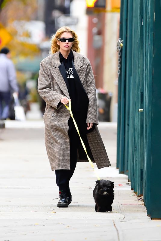 STELLA MAXWELL Out with Her Dog in West Village 12/05/2023
