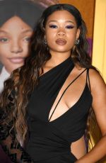 STORM REID at The Color Purple Premiere in Los Angeles 12/06/2023