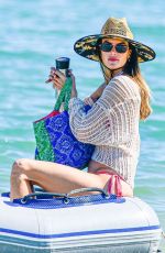 ALESSANDRA AMBROSIO in Bikini at a Beach in Florianopolis 01/04/2024