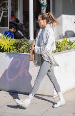 ALESSANDRA AMBROSIO Out for Lunch with a Friend at Cecconi
