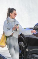 ALESSANDRA AMBROSIO Out for Lunch with a Friend at Cecconi