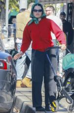 ALIA SHAWKAT Out with Her Baby in Los Feliz 01/06/2024