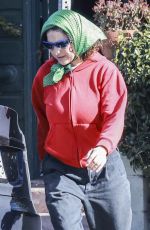 ALIA SHAWKAT Out with Her Baby in Los Feliz 01/06/2024