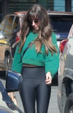ALISON BRIE Leaves a Local Grocery Store in Los Feliz 01/30/2024