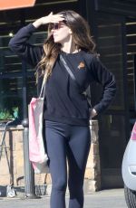 ALISON BRIE Out for Grocery Shopping in Los Angeles 01/13/2024