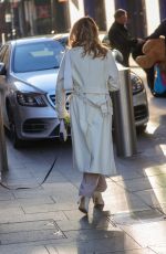 AMANDA HOLDEN Out with Her Dog in London 01/19/2024