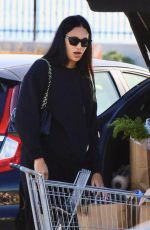 APRIL LOVE GEARY Out Shopping in Malibu 01/13/2024