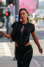BREANA TIESI Out for Furniture Shopping on Melrose Avenue in West Hollywood 01/30/2024