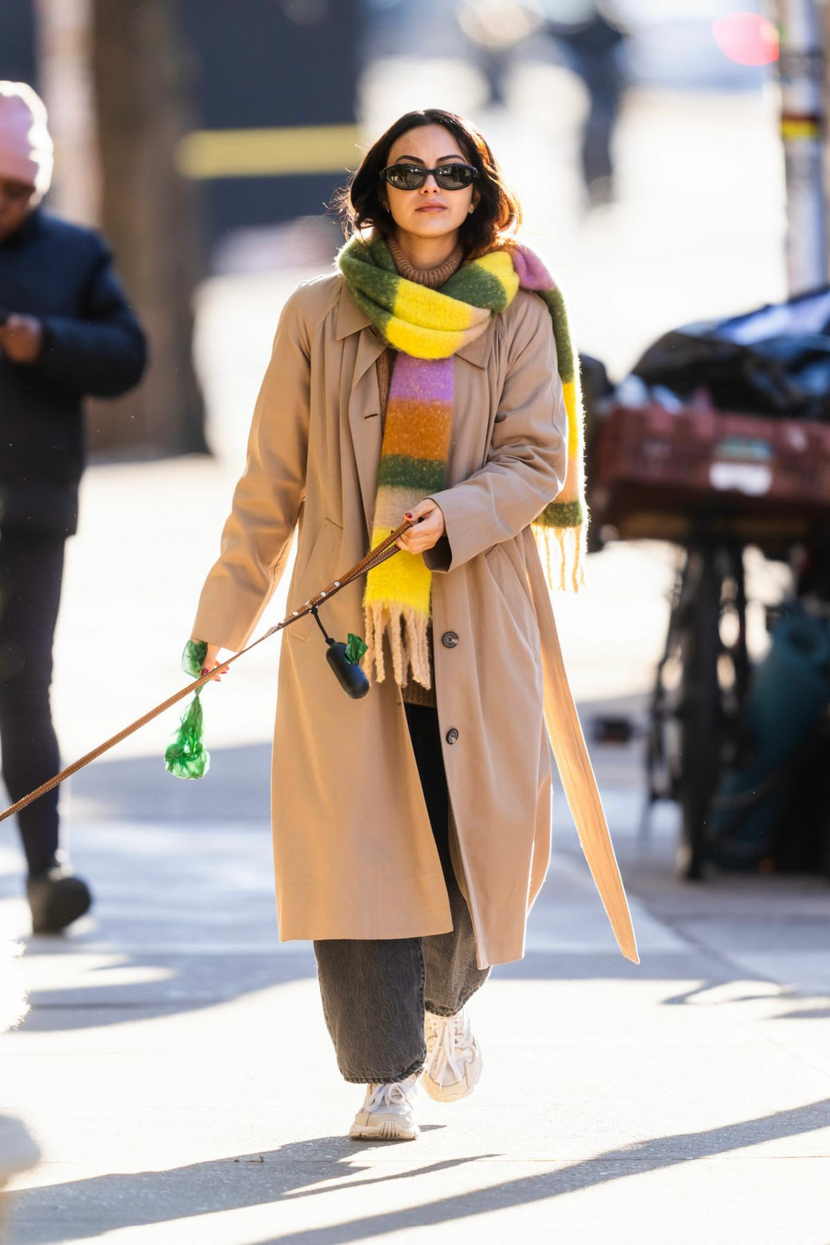 CAMILA MENDES Out with Her Dog in New York 01/02/2024 – HawtCelebs