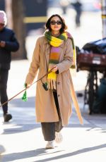 CAMILA MENDES Out with Her Dog in New York 01/02/2024