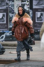 CHLOE SEVIGNY Out and About in New York 01/29/2024