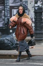 CHLOE SEVIGNY Out and About in New York 01/29/2024