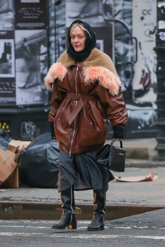 CHLOE SEVIGNY Out and About in New York 01/29/2024
