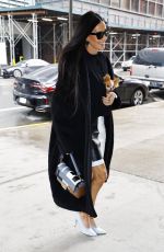 DEMI MOORE Out with Her Small Puppy in New York 01/23/2024