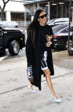 DEMI MOORE Out with Her Small Puppy in New York 01/23/2024