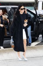 DEMI MOORE Out with Her Small Puppy in New York 01/23/2024