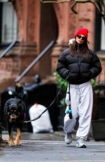 EMILY RATAJKOWSKI Out with Her Dog in New York 01/07/2024
