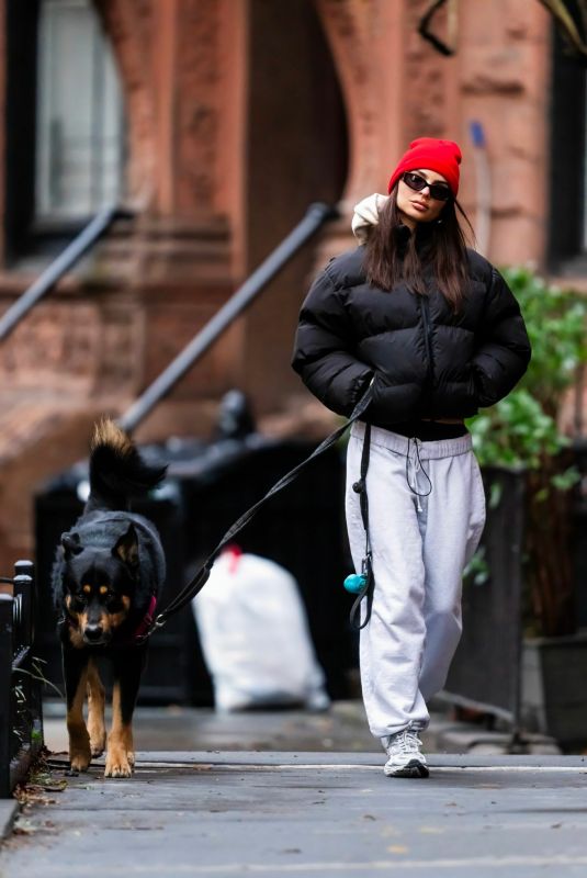 EMILY RATAJKOWSKI Out with Her Dog in New York 01/07/2024