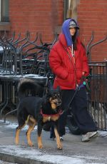EMILY RATAJKOWSKI Out with Her Dog in New York 01/17/2024