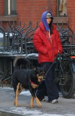 EMILY RATAJKOWSKI Out with Her Dog in New York 01/17/2024