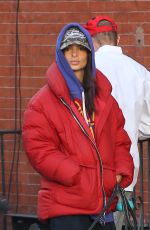 EMILY RATAJKOWSKI Out with Her Dog in New York 01/17/2024