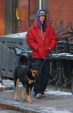 EMILY RATAJKOWSKI Out with Her Dog in New York 01/17/2024