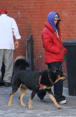 EMILY RATAJKOWSKI Out with Her Dog in New York 01/17/2024