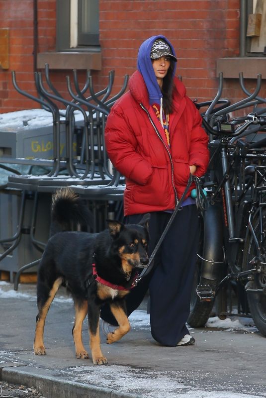 EMILY RATAJKOWSKI Out with Her Dog in New York 01/17/2024